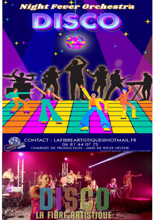 Disco Night Fever Orchestra